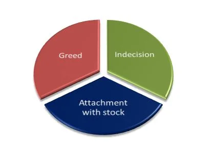 Human psychology bias,Sell a stock from portfolio, When to sell a stock from portfolio, selling the stock